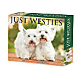 2025 Willow Creek Press Daily Desk Box Calendar, Animals, 5-1/2” x 6-1/4", Westies, January To December, 41093
