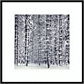 Amanti Art Pine Forest In The Snow Yosemite National Park by Ansel Adams Wood Framed Wall Art Print, 31”W x 31”H, Black