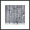 Amanti Art Pine Forest In The Snow Yosemite National Park by Ansel Adams Wood Framed Wall Art Print, 31”W x 31”H, Black 1 thumbnail image