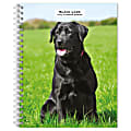 2025 BrownTrout Black Labrador Retrievers Weekly Spiral-Bound Wire-O Engagement Planner Calendar, 6" x 7 3/4" 1 thumbnail image
