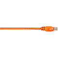Black Box Connect Cat.5e UTP Patch Network Cable - 10 ft Category 5e Network Cable for Network Device - First End: 1 x RJ-45 Network - Male - Second End: 1 x RJ-45 Network - Male - 1 Gbit/s - Patch Cable - Gold Plated Contact - CM - 26 AWG - Orange 1 thumbnail image