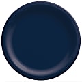 Amscan Paper Plates, 10”, True Navy, 20 Plates Per Pack, Case Of 4 Packs