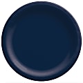 Amscan Paper Plates, 10”, True Navy, 20 Plates Per Pack, Case Of 4 Packs 1 thumbnail image