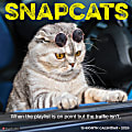 2026 Willow Creek Press Humor & Comics Monthly Wall Calendar, 12" x 12", Snapcats, January To December, 52853 1 thumbnail image