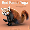 2026 Willow Creek Press Animals Monthly Wall Calendar, 12" x 12", Red Panda Yoga, January To December, 56073 1 thumbnail image