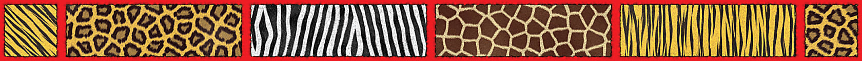 Scholastic Bulletin Board Border, Safari, 3" x 36' 1 thumbnail image