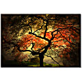 Trademark Global Japanese Gallery-Wrapped Canvas Print By Philippe Sainte-Laudy, 30"H x 47"W