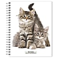 2023-2024 BrownTrout 16-Month Weekly/Monthly Engagement Planner, 7-3/4" x 7-3/16", Kittens, September To December