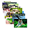 Stages Learning Materials Wild Animals Poster Set, 19" x 14", Multicolor, Set Of 10 Posters 1 thumbnail image