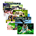 Stages Learning Materials Wild Animals Poster Set, 19" x 14", Multicolor, Set Of 10 Posters