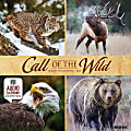 2025 Willow Creek Press Wall Calendar, 12” x 12”, Call Of The Wild, January 2025 To December 2025, 42113 1 thumbnail image