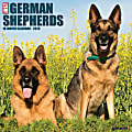 2026 Willow Creek Press Animals Monthly Wall Calendar, 12" x 12", German Shepherds, January To December, 51238 1 thumbnail image