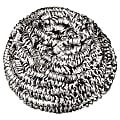 Boardwalk® Stainless Steel Scrubber, Medium Size, Steel Gray, 72/Carton 1 thumbnail image