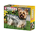 2024 Willow Creek Press Page-A-Day Daily Desk Calendar, 5" x 6", Yorkies, January To December