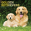 Brown Trout Animals Monthly Wall Calendar, 12" x 12", Golden Retrievers, January To December 2023 1 thumbnail image