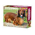 2025 Willow Creek Press Daily Desk Box Calendar, Animals, 5-1/2” x 6-1/4", Dachshunds, January To December, 40775 1 thumbnail image