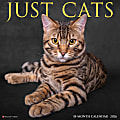 2026 Willow Creek Press Animals Monthly Wall Calendar, 12" x 12", Cats, January To December, 50613 1 thumbnail image