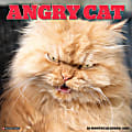 Willow Creek Press Animals Monthly Wall Calendar, Angry Cat, 12" x 12", January To December 2021 1 thumbnail image