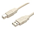 StarTech.com 6 ft Beige A to B USB Cable - M/M - USB - 6 ft - 1 x Type A Male - 1 x Type B Male