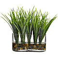 Nearly Natural 9"H Vanilla Grass Artificial Plant With Oval Vase, 9"H x 7"W x 3"D, Clear/Green