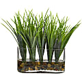 Nearly Natural 9"H Vanilla Grass Artificial Plant With Oval Vase, 9"H x 7"W x 3"D, Clear/Green 1 thumbnail image