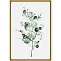 Amanti Art Tender Sprout I Eucalyptus by Eva Watts Framed Canvas Wall Art Print, 23”H x 16”W, Gold