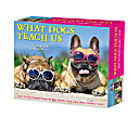 2024 Willow Creek Press Page-A-Day Daily Desk Calendar, 5" x 6", What Dogs Teach Us, January To December