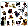 Office Depot® Brand Big-Nose Dog Photo Mouse Pad 1 thumbnail image