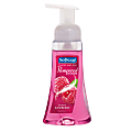 Softsoap® Pampered Hands™ Liquid Hand Soap, 8 Oz., Raspberry