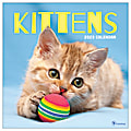 TF Publishing Animal Monthly Wall Calendar, 12" x 12", Kittens, January To December 2023