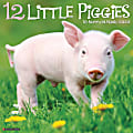 Willow Creek Press Animals Monthly Wall Calendar, 12" x 12", 12 Little Piggies, January to December 2022, 16398