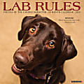 2024 Willow Creek Press Animals Monthly Wall Calendar, 12" x 12", Lab Rules, January To December