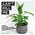 TF Publishing Scenic Wall Calendar, 12" x 12", Can't Kill Me: Plants, January To December 2022 1 thumbnail image