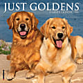 2026 Willow Creek Press Monthly Mini Wall Calendar, 7" x 7", Just Goldens, January To December, 53607 1 thumbnail image