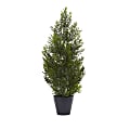 Nearly Natural Cedar Pine 24”H Mini Indoor/Outdoor Tree With Pot, 24”H x 13”W x 11”D, Green 1 thumbnail image