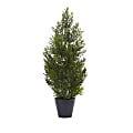 Nearly Natural Cedar Pine 24”H Mini Indoor/Outdoor Tree With Pot, 24”H x 13”W x 11”D, Green