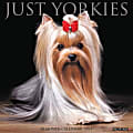 Willow Creek Press 18-Month Wall Calendar, 12" x 12", Just Yorkies, July 2018 to December 2019 1 thumbnail image