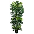 Nearly Natural Areca Palm 70”H Artificial Plant With Planter, 70”H x 20”W x 20”D, Green/Black