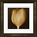 Timeless Frames Marren Espresso-Framed Floral Artwork, 8" x 8", Tulip