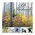 Willow Creek Press Scenic Monthly Wall Calendar, 12" x 12", Life In The Northwoods, January To December 2020