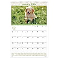 AT-A-GLANCE® 2026 Puppies Monthly Wall Calendar, Large, 15 1/2" x 22 3/4" 1 thumbnail image