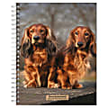 2023-2024 BrownTrout 16-Month Weekly/Monthly Engagement Planner, 7-3/4" x 7-3/16", Dachshunds, September To December