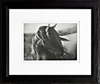 Timeless Frames Supreme Framed Animal Artwork, 8" x 10", Black, Fierce Grace 1 thumbnail image