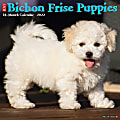 Willow Creek Press Animals Monthly Wall Calendar, 12" x 12", Just Bichon Frise Puppies, January to December 2022, 16916 1 thumbnail image