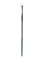 Princeton Synthetic Bristle Oil And Acrylic Paint Brush 6100, Size 2, Fan Bristle, Synthetic, Green 1 thumbnail image