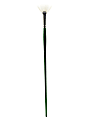 Princeton Synthetic Bristle Oil And Acrylic Paint Brush 6100, Size 6, Fan Bristle, Synthetic, Green 1 thumbnail image