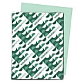 Exact® Vellum Bristol Card Stock, Green, Letter (8.5" x 11"), 67 Lb, Pack Of 250 1 thumbnail image