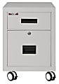 FireKing 18"W Vertical 2-Drawer Mobile 30-Minute Fire Rated Locking Fireproof File Cabinet, Metal, Platinum, White Glove Delivery