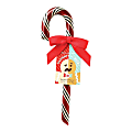 Hammond's Candies Naughty or Nice Candy Canes, 1.75 Oz, Pack Of 24 Candy Canes 1 thumbnail image