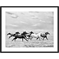 Amanti Art Horse Run I by PHBurchett Wood Framed Wall Art Print, 33”H x 41”W, Black